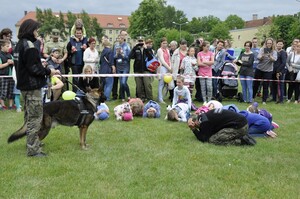 Piknik Rodzinny Straży Granicznej w ramach kampanii „Kręci Mnie Bezpieczeństwo” 