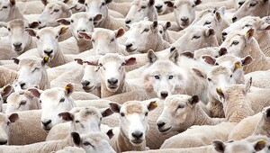 Trzeba wiedzieć kogo szukać 