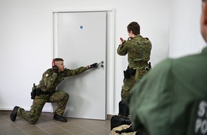 Działania interwencyjne w portach lotniczych 