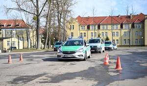 W pościgu 