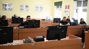 Profilowanie w odprawie granicznej 