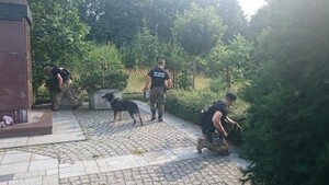 Funkcjonariusze podczas sprawdzania i zabezpieczania terenu. 